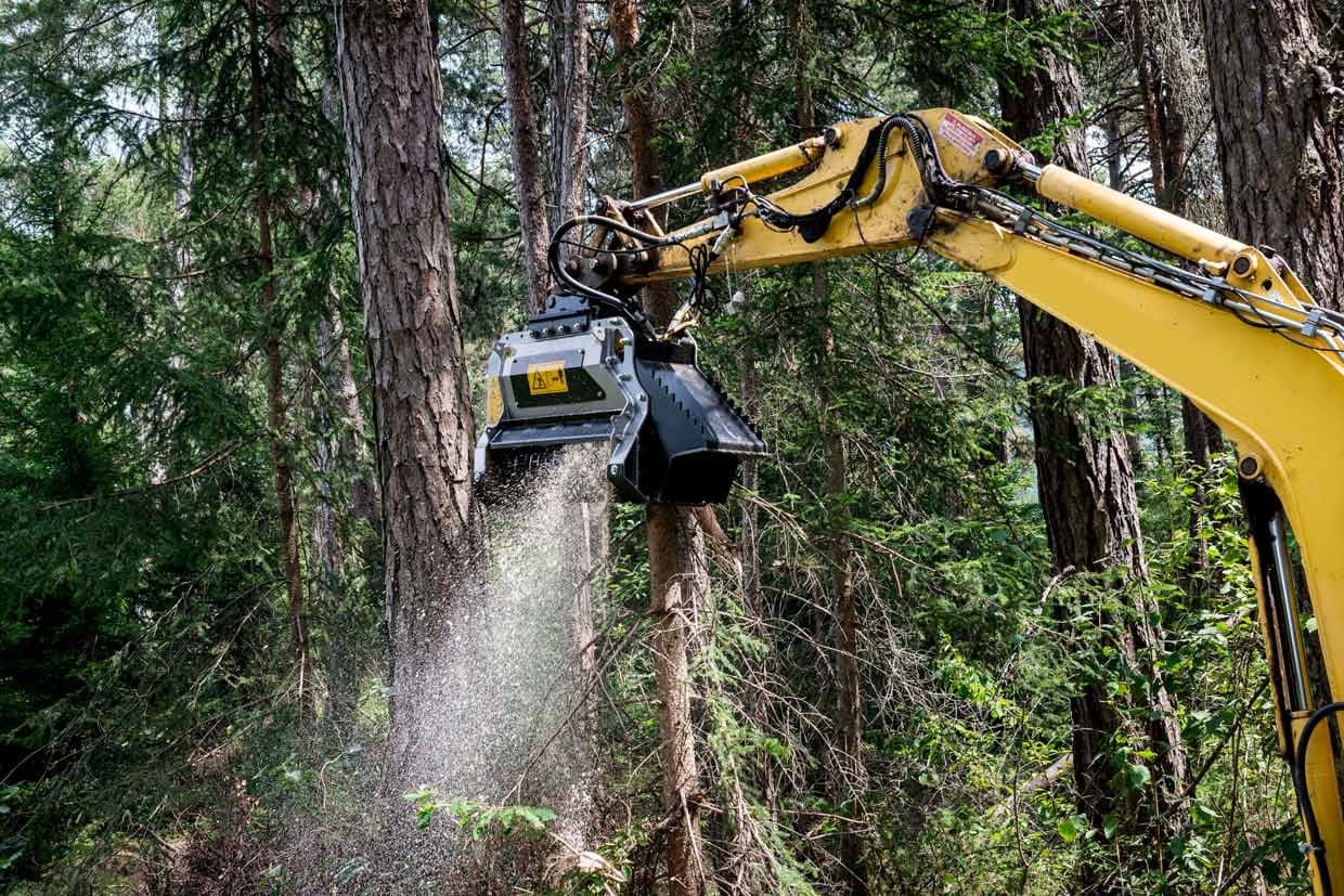 FAE BL1/EX-75 Forestry Mulcher Mowers & Mulchers